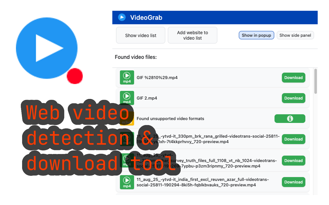 VideoGrab - detected video files with download buttons